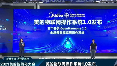 雪中送炭 4800億巨頭接入鴻蒙，華為網絡技術開發的堅守終見曙光